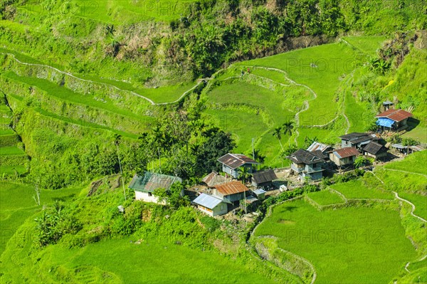 Hapao rice terraces