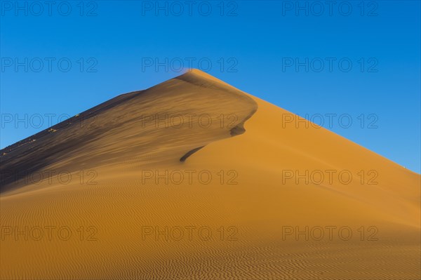 Giant sand Dune 45