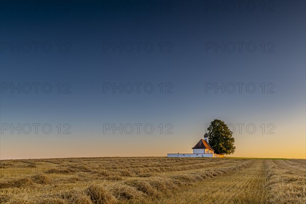 Sank Walburga Chapel in cornfield at Blue Hour