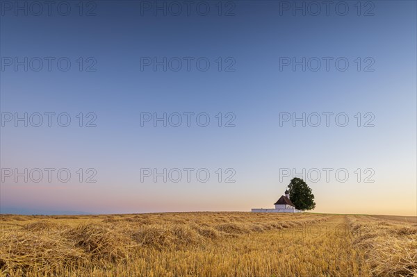 Sank Walburga Chapel in cornfield at Blue Hour