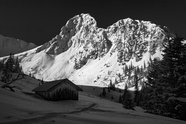 Mountain hut in front of the snow-covered summit of the Gehrenspitze