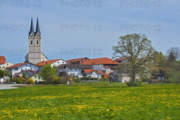 Spring meadow in front of the pilgrimage church St. Maria Himmelfahrt in Tuntenhausen