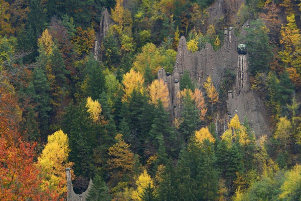 Earth pyramids in Lengmoos am Ritten in autumn