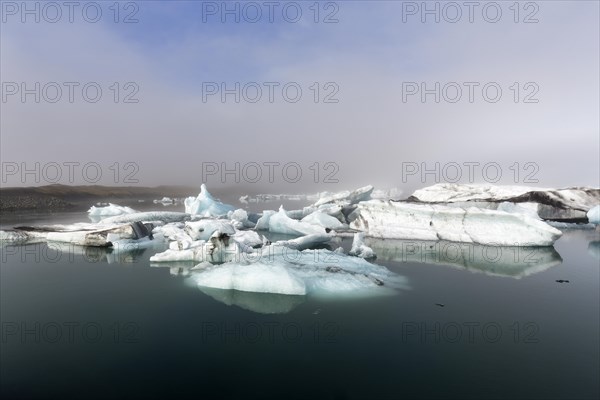 Icebergs in the morning light