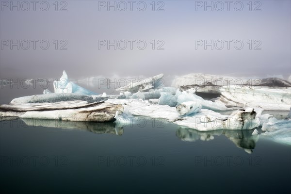 Icebergs in the morning light