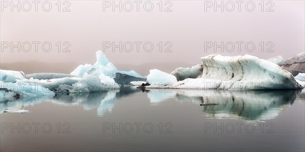 Icebergs in the morning light