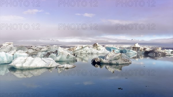 Icebergs in the morning light