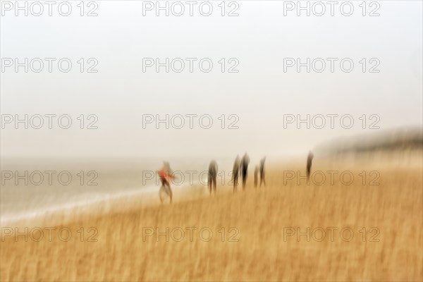 Walkers on the beach