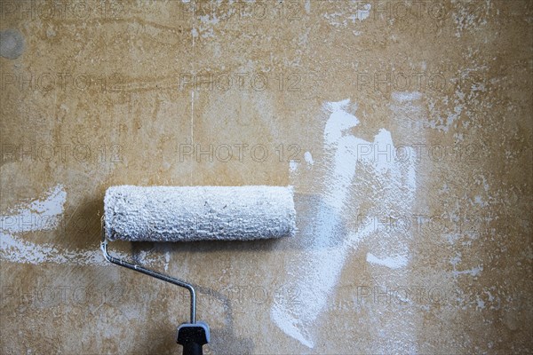 Painter's roller with white paint leaning against a plastered wall