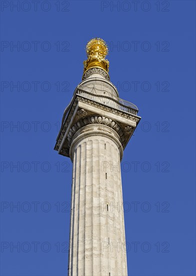 Monument to the Great Fire of London