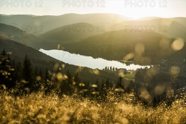 View from Hochfirst to Lake Titisee and Feldberg mountain at sunset