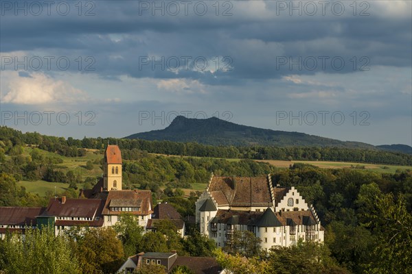 Blumenfeld Castle