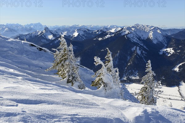 View from Wallberg to Zugspitze