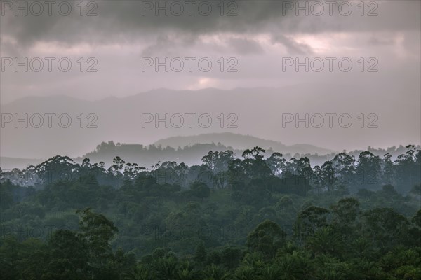 Landscape with clouds and forest