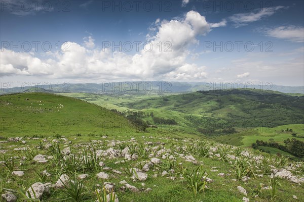 Landscape with clouds and sky