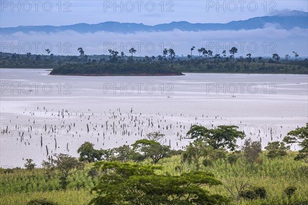 Lake and see