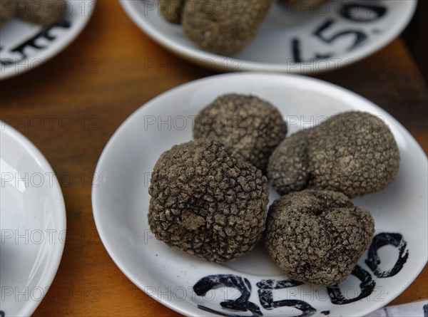 Black truffles in delicatessen shop