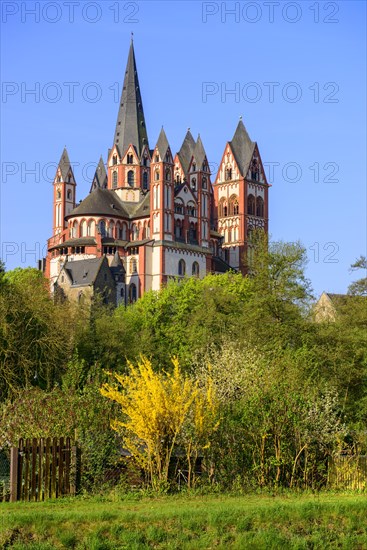 Limburg Cathedral St. Georg or Georgsdom