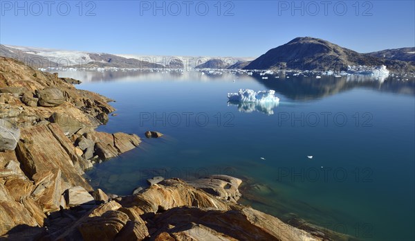 Johan Petersen Fjord with growlwers