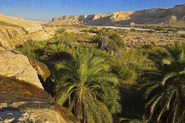 Limestone canyon of Wadi Shuwaymiyah