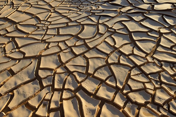 Broken surface of a dry claypan