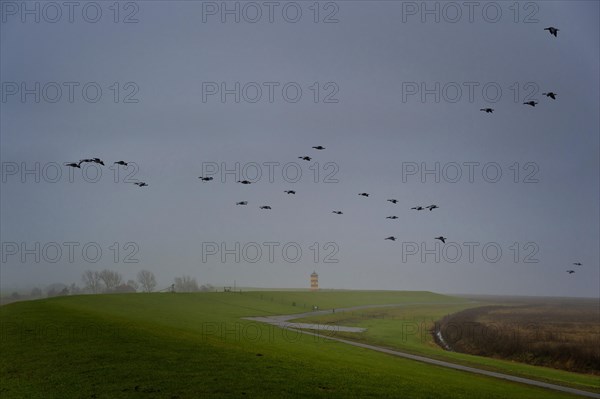 Barnacle geese fly over a lighthouse