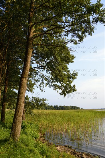 Lake Dargin