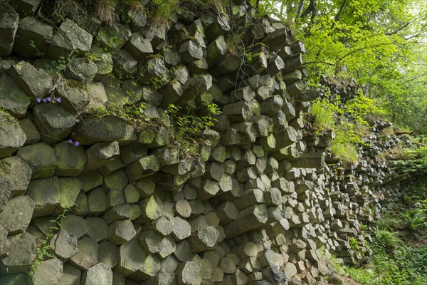 Basalt prisms