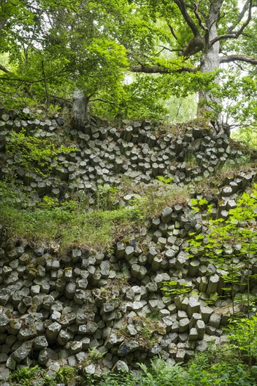 Basalt prisms