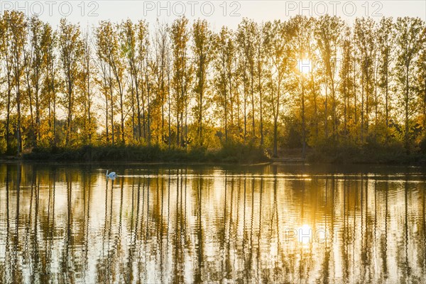 Evening atmosphere in the nature reserve Herbslebener Teiche