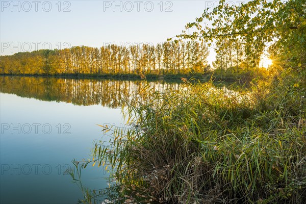 Evening atmosphere in the nature reserve Herbslebener Teiche