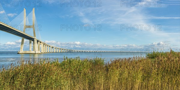 Ponte Vasco da Gama over the Tagus river