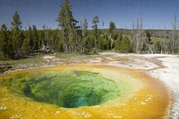 Morning Glory Pool