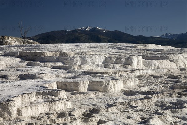 Mammoth Hot Springs