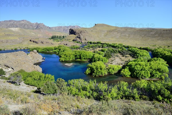 Green valley at Rio Limay