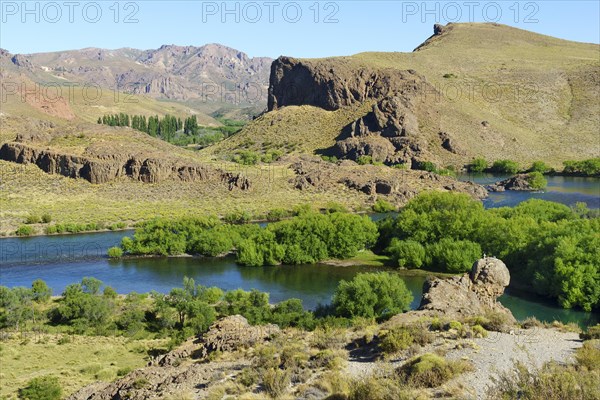 Green valley at Rio Limay