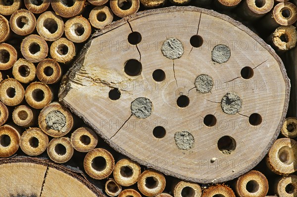 Bee hotel