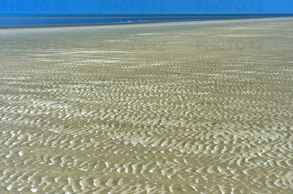 Ripples formed by wind and tidal currents in the sand in the mudflats