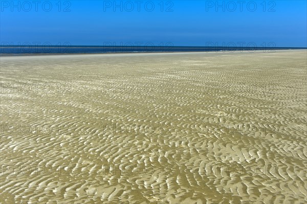 Ripples formed by wind and tidal currents in the sand in the mudflats