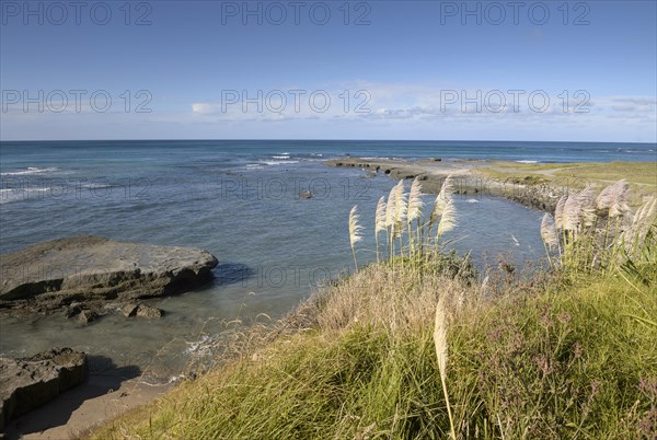 East Cape Coast