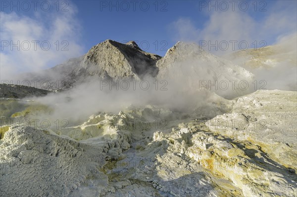 Yellow sulphur and fumarole on the volcanic island of White Island