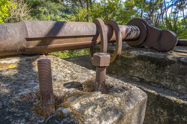 Relics from the time of the gold diggers on the Coromandel Peninsula