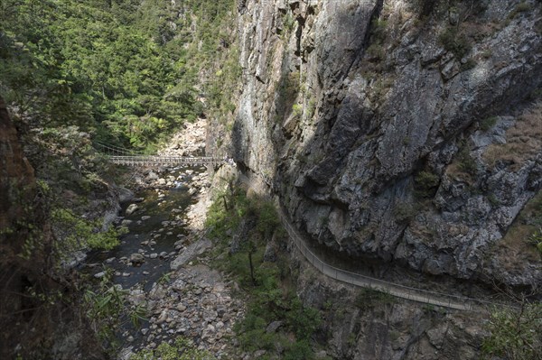 Old way to the galleries of the gold diggers on the Coromandel Peninsula