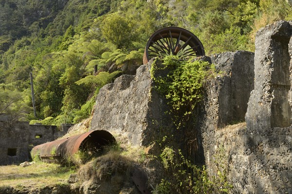 Relics from the time of the gold diggers on the Coromandel Peninsula