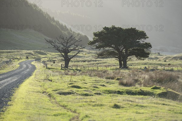 East Cape Gravel Road