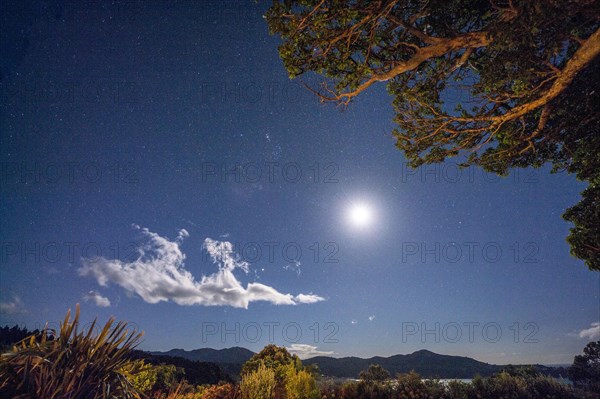 Night shot with full moon and stars at East Cape