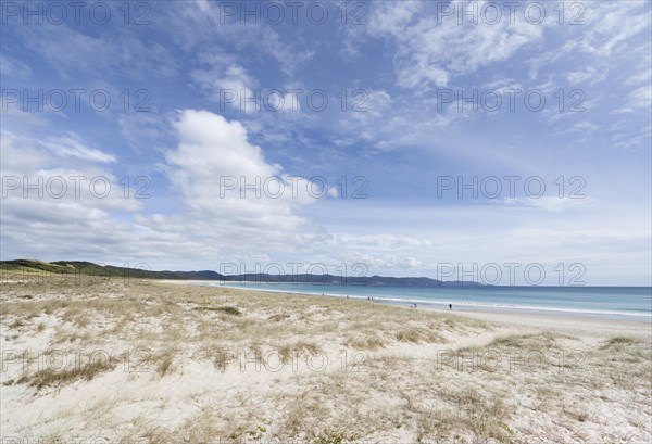 Long sandy beach Rarawa Beach