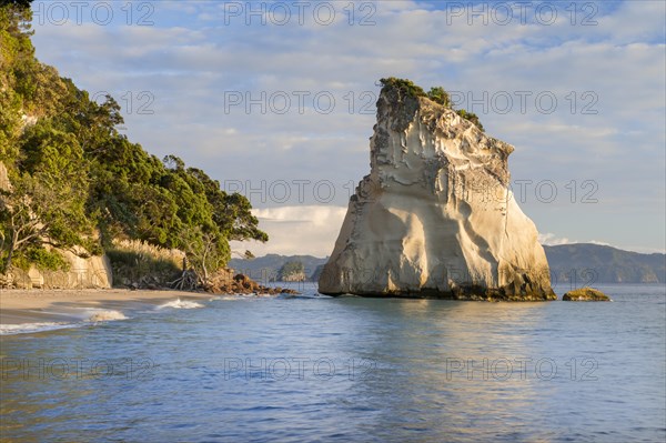 Rocks in the sea at Cathedral Cove