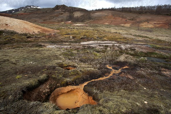 Landscape in the high temperature area Haukadalur Valley