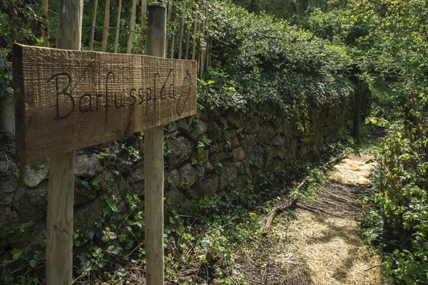 Barefoot path in the vineyards at Schriesheim